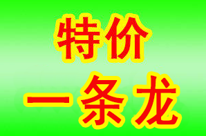 1608876292701466.png